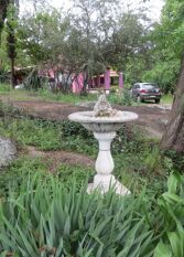 Foto 2 de la galería de Sol de Bach en Tanti