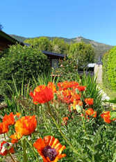 Foto 3 de la galería de Cabañas Rayuela, naturaleza y ubicación ideal en San Carlos De Bariloche