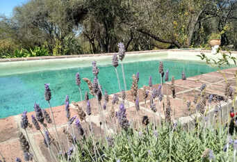 Foto 1 de la galería de Yasi Pora en La Granja