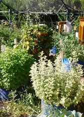 Foto 3 de la galería de Casa El Vivero: Pileta/Huerta - TODO EXCLUSIVO en La Granja