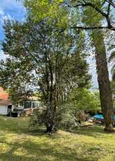 Foto 3 de la galería de Casona Los Perales en San Salvador De Jujuy