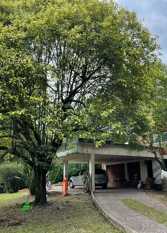 Foto 2 de la galería de Casona Los Perales en San Salvador De Jujuy