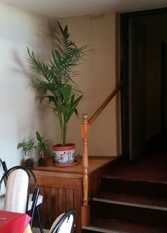 Foto 3 de la galería de Hotel Las Cycas en Villa Carlos Paz