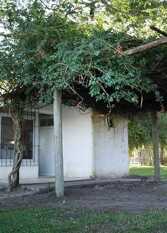 Foto 2 de la galería de Cabañas Aguaflorida en Gualeguay