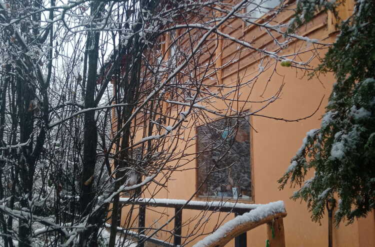 Foto principal de Departamentos Campepilus en San Carlos De Bariloche