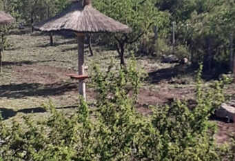 Foto 1 de la galería de Olivia Complejo de Cabañas en Carpintería