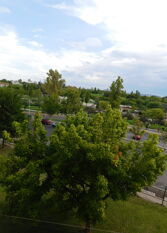 Foto 3 de la galería de Los Toneles en Ciudad De Mendoza
