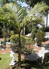 Foto 3 de la galería de Cabañas Sol y Luna del Parque en Colón