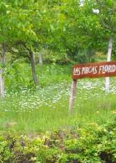 Foto 3 de la galería de Las Pircas Floridas en Las Juntas