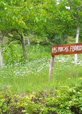 Foto 3 de la galería de Las Pircas Floridas en Las Juntas