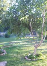 Foto 4 de Casa El Nogal en Mina Clavero