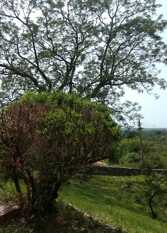 Foto 3 de la galería de Casa de Montaña en José De La Quintana