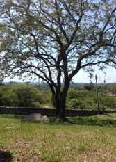 Foto 2 de la galería de Casa de Montaña en José De La Quintana