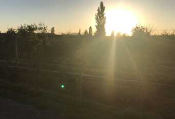 Foto 1 de la galería de Cabañas Caminito al Atuel en Rama Caida