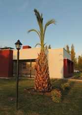 Foto 2 de la galería de Cabañas Alma de Diamante en San Rafael