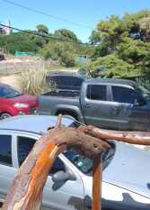 Foto 3 de la galería de Cabañas San Ignacio en Villa Gesell