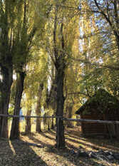 Foto 2 de la galería de Casa Lo de Susy en San Martín De Los Andes