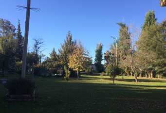 Foto 1 de la galería de FINCA CASIANA en Medano De Oro