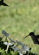 Foto 3 de la galería de Cabañas Torre del Sol en Los Reartes