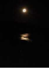 Foto 3 de la galería de Para Conectarse con La Naturalez en San Ignacio