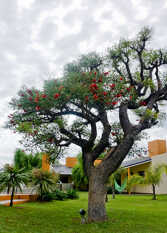 Foto 3 de la galería de Complejo de Cabañas El Viejo Ceibo en Miramar