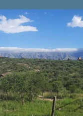 Foto 3 de la galería de Cabañas El Sauce en Mina Clavero