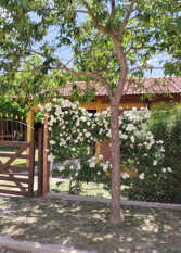 Foto 2 de la galería de Cabañas Valle del Sol Brochero en Villa Cura Brochero