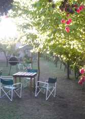 Foto 3 de la galería de Los Ciruelos Cabañas en San Rafael