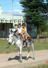 Foto 3 de la galería de Cabañas Alamos Brillantes en Mina Clavero