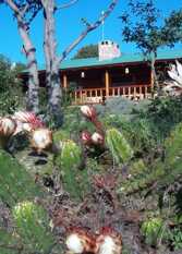 Foto 3 de la galería de Corral del Molle Complejo de Cabañas en Nono