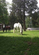 Foto 2 de la galería de Estancia Entre Cerros en San Carlos De Bariloche