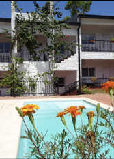 Foto 2 de la galería de Mediterraneo Suites en Puerto Iguazú