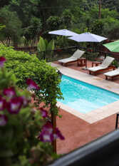 Foto 3 de la galería de Mediterraneo Suites en Puerto Iguazú