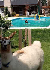 Foto 2 de la galería de Cabañas Los Espejos en Trenque Lauquen
