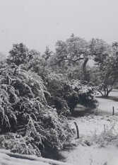 Foto 3 de la galería de Las Martinetas en San Ignacio