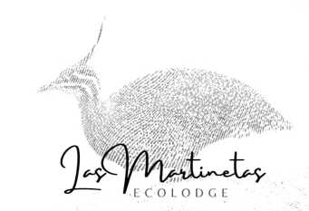 Foto 1 de la galería de Las Martinetas en San Ignacio