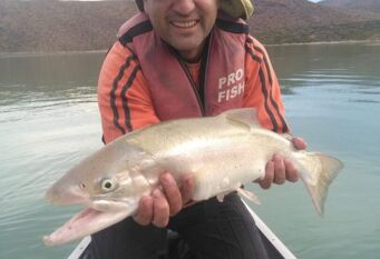 Foto 1 de la galería de Calmuco Fly Fishing Chalet Temporario pesca deportiva en Calmuco