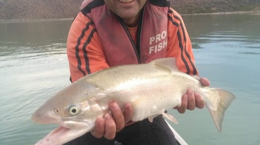 Foto principal de Calmuco Fly Fishing Chalet Temporario pesca deportiva en Calmuco