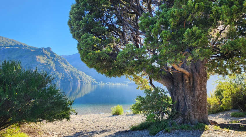 Foto principal de Amancay Cabañas en Villa Meliquina