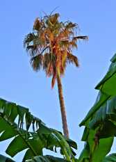 Foto 2 de la galería de Costa Canal Bungalows en Colón