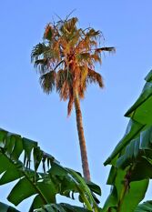 Foto 2 de la galería de Costa Canal Bungalows en Colón