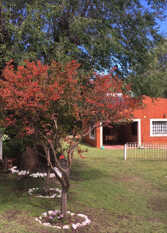 Foto 2 de la galería de Munay Posada y Cabaña en Los Cocos