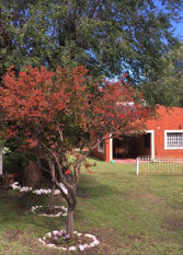 Foto 2 de la galería de Munay Posada y Cabaña en Los Cocos