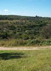 Foto 3 de la galería de Cabaña El Gran Chaparral en Alpa Corral