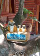 Foto 3 de la galería de TAYU RUKA en San Clemente Del Tuyú