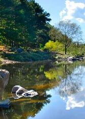 Foto 2 de la galería de Villa Silvina - Casas Serranas en Villa Yacanto De Calamuchita