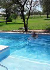 Foto 2 de la galería de Cabañas Inca Suti en Termas De Rio Hondo