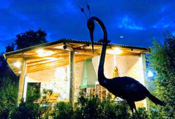 Foto 1 de la galería de Tierra Mandarina Cabañas en Gualeguaychú