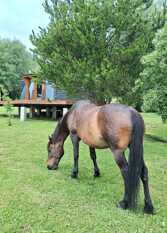 Foto 2 de la galería de Casa redonda en Lago Puelo