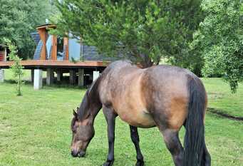 Foto 1 de la galería de Casa redonda en Lago Puelo